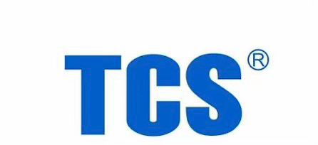 TCS UPS Battery